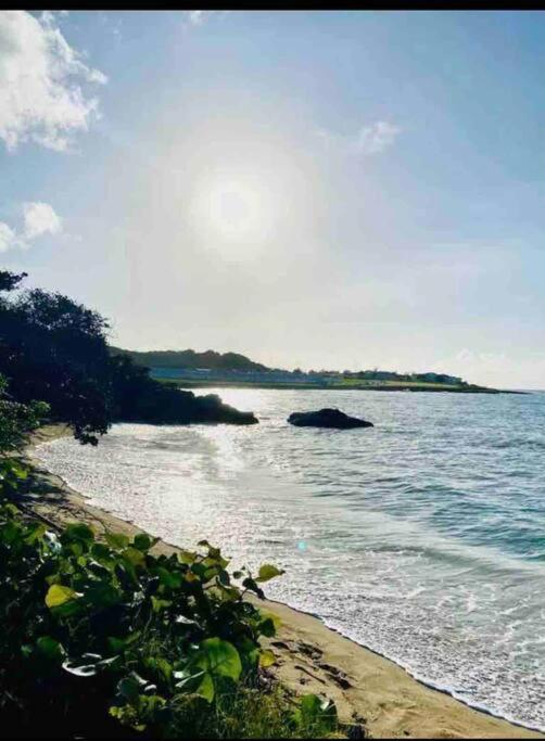 Natty'S Cozy Beach House In Hanover Jamaica Lucea Ngoại thất bức ảnh